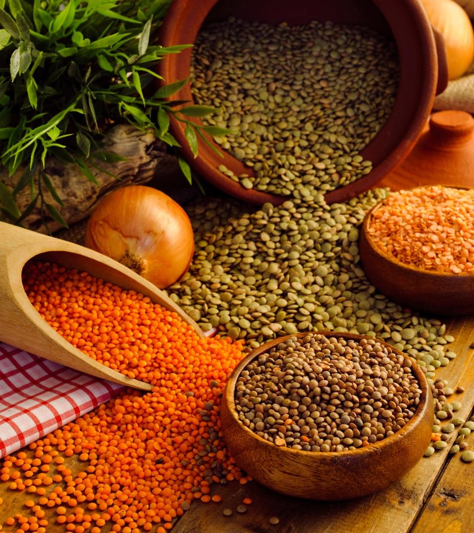 Dal and Pulses 