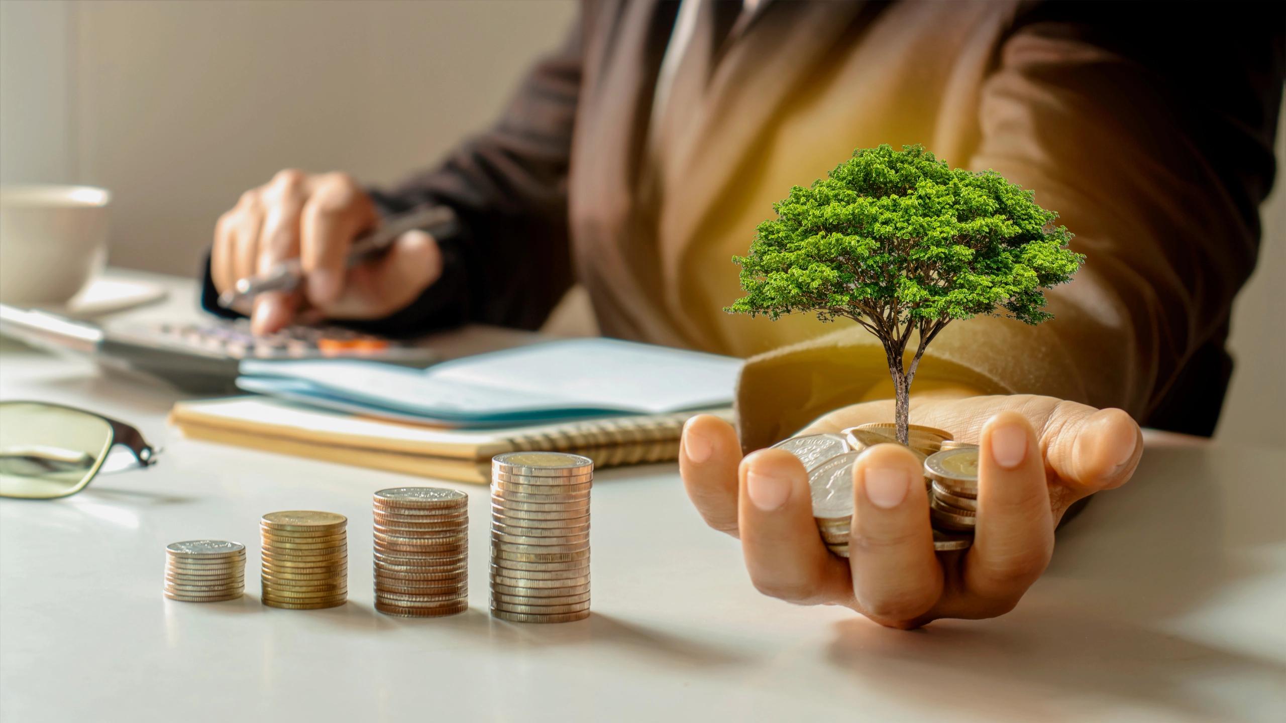 Finance concept with coins in hand and a tree symbolising investment growth.