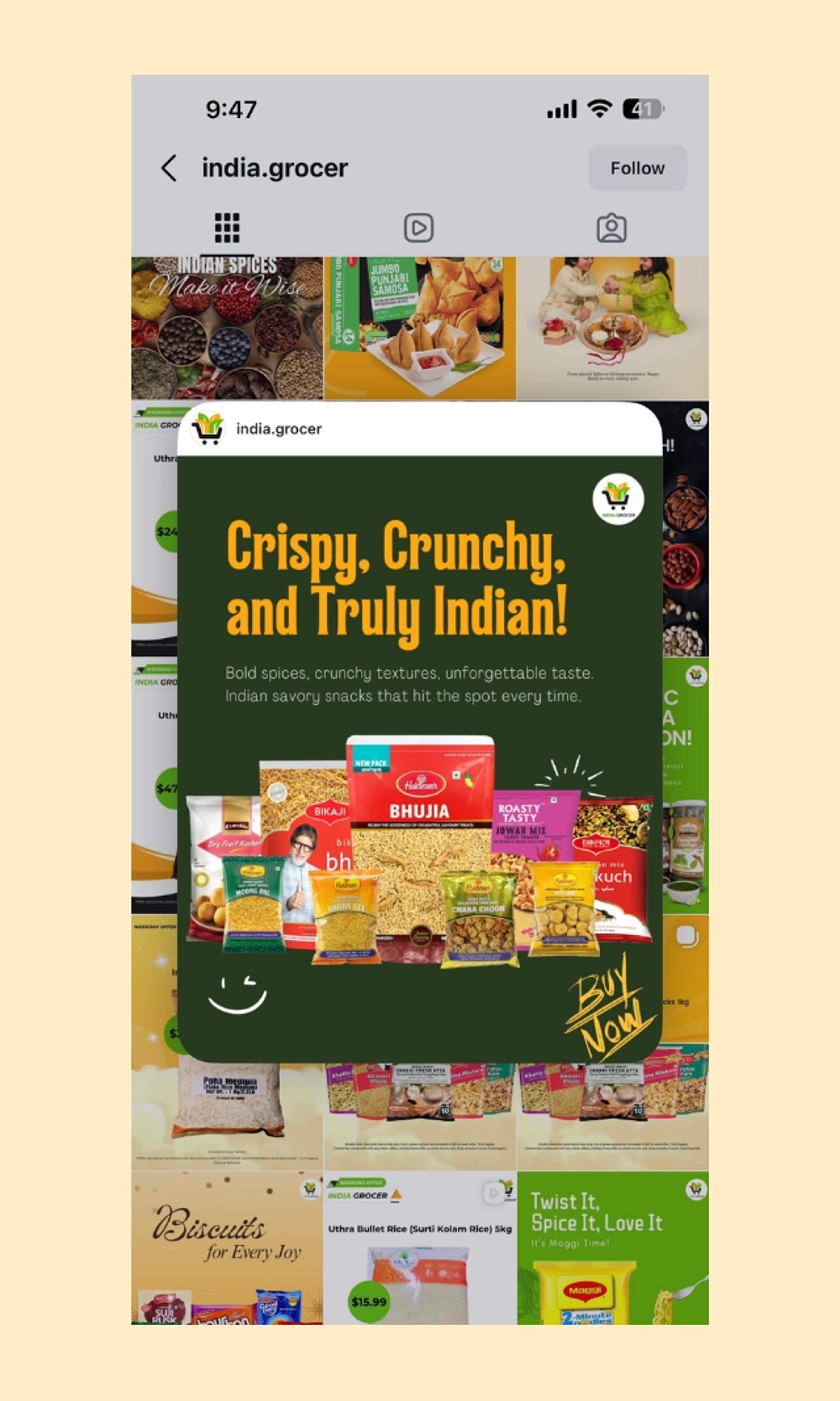 Instagram snapshot of India Grocer's handle