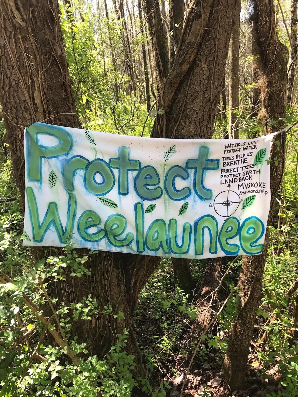 hand painted banner hangs in the trees of the Weelaunee forest, reads "Protect Weelaunee"