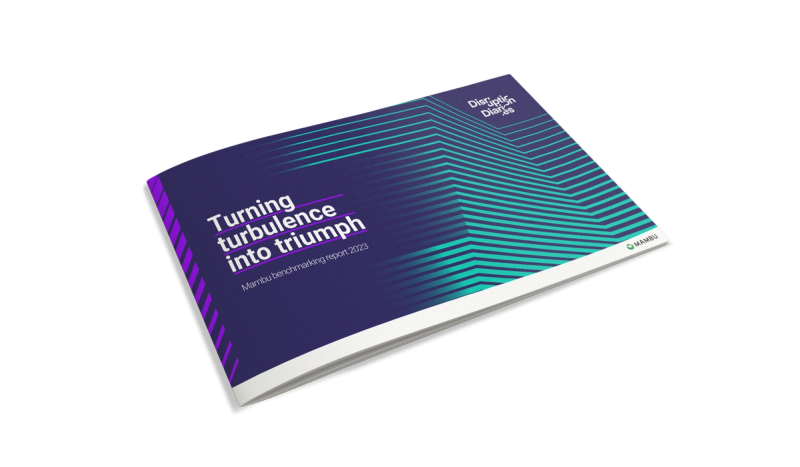 Turbulence into triumph