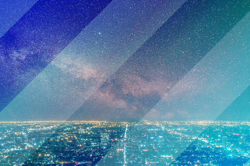 Partner predictions report - payments