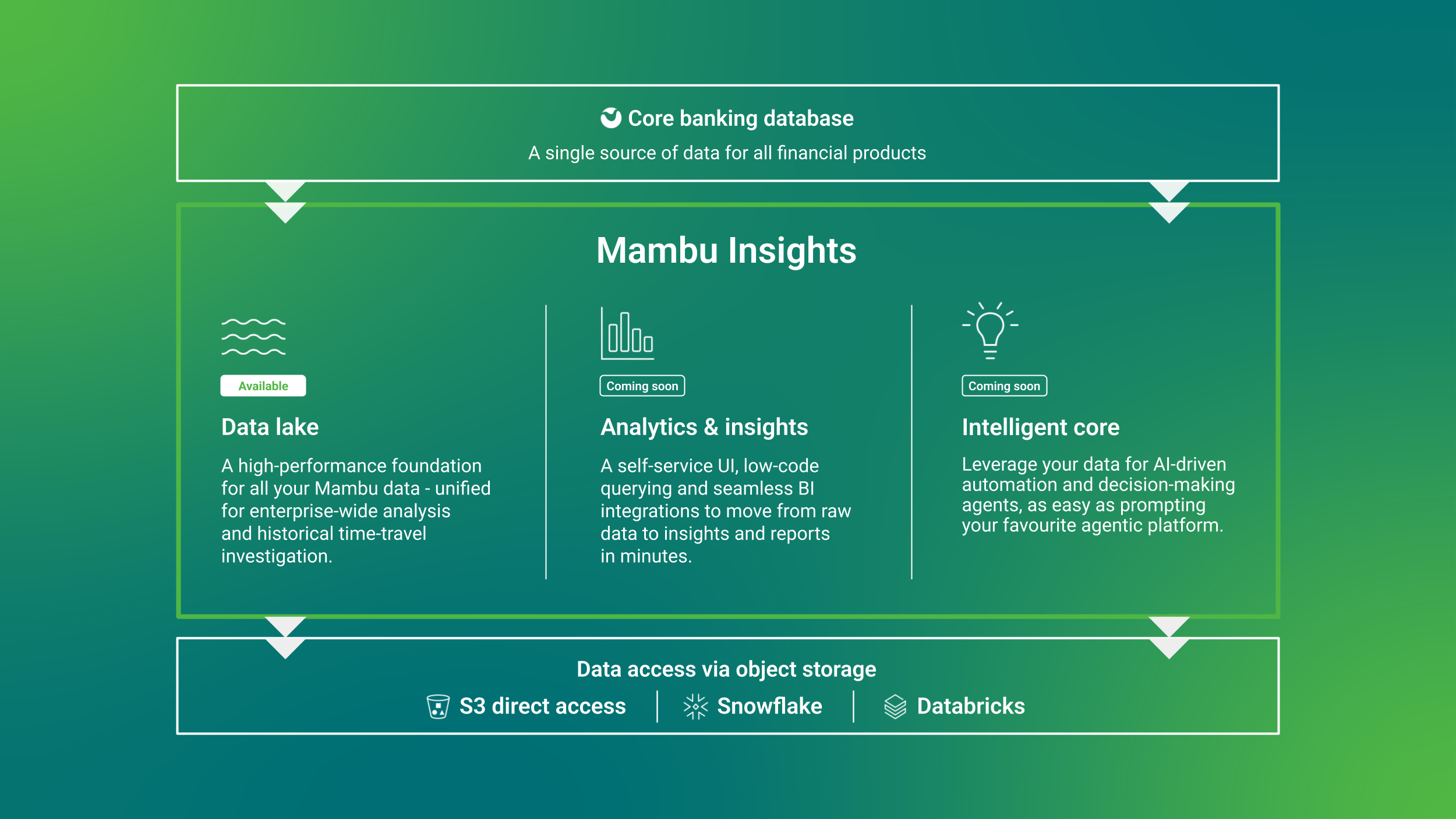 Mambu Insights