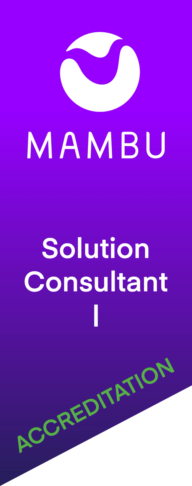 Solution Consultant I