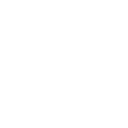 Wise logo