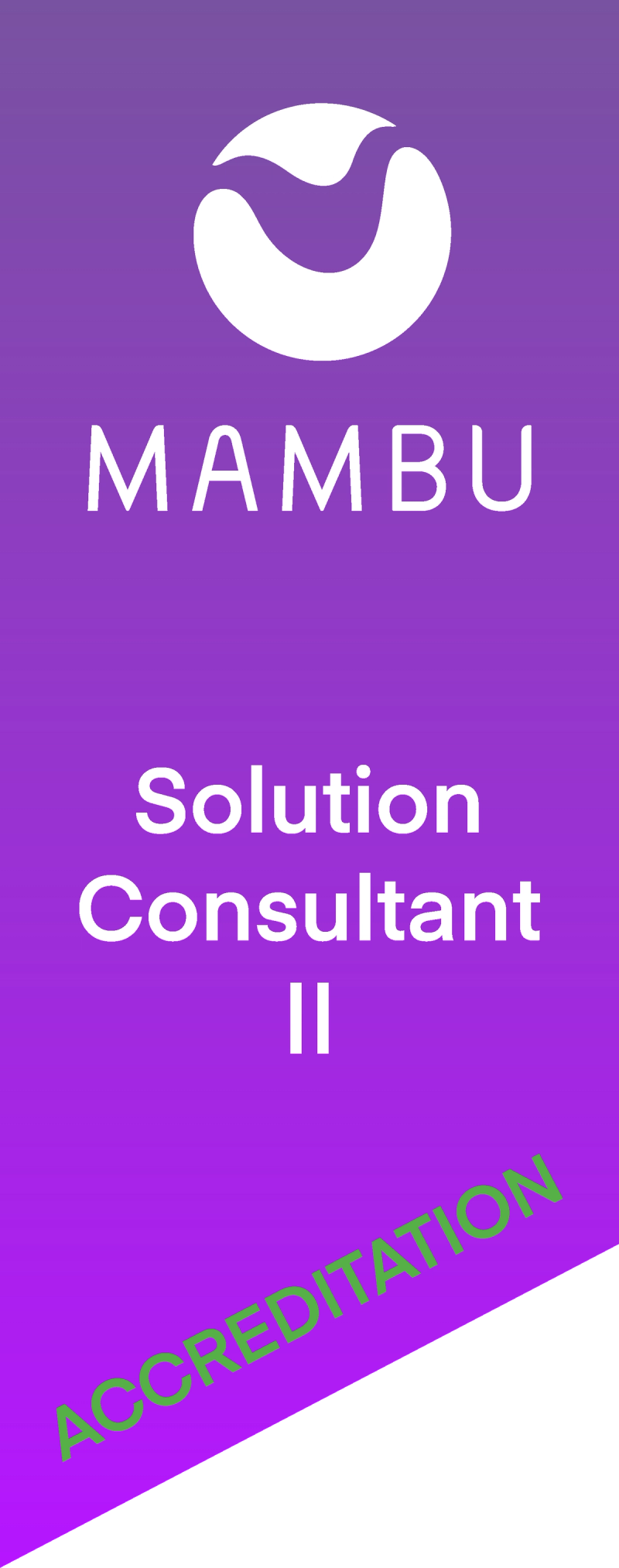 Solution Consultant II
