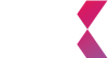 Data eXcellence logo