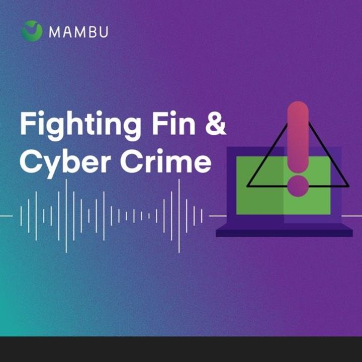 Fighting Fin & Cyber Crime