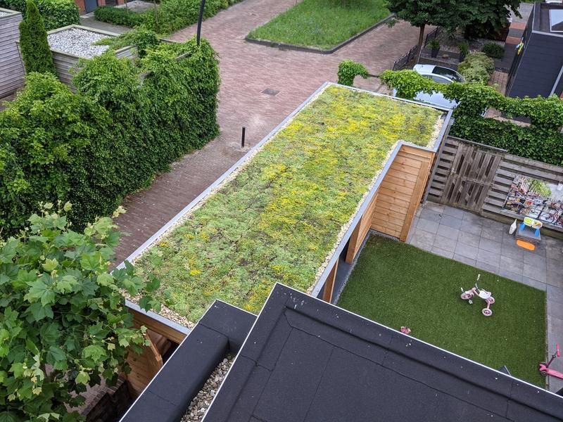 DIY - building a green roof