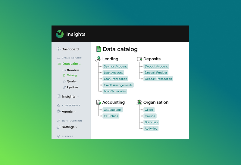 Mambu Insights blog visual