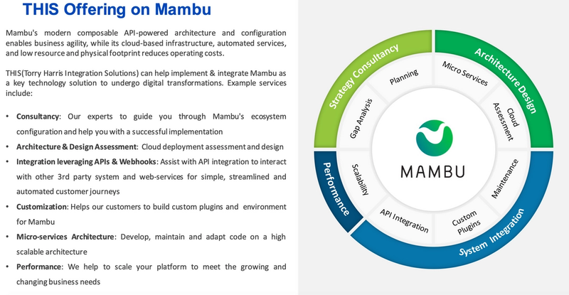 Wheel chart depicting Mambu's modern, composable API-powered architecture at the centre of strategy consulting, architecture design, system integration and performance.
