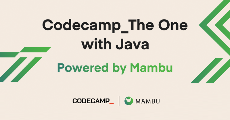  Codecamp_The One with Java