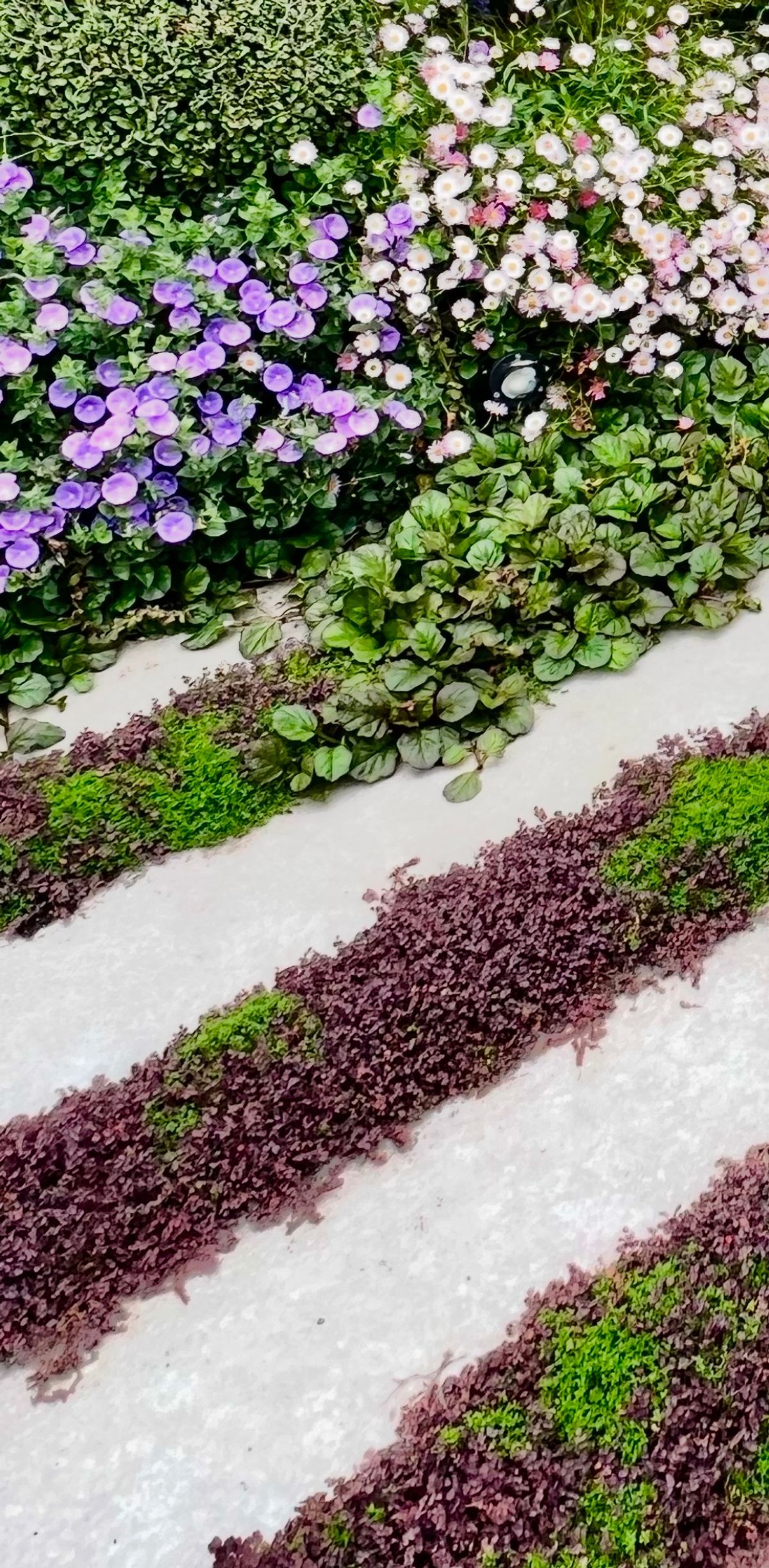 Live Pathway