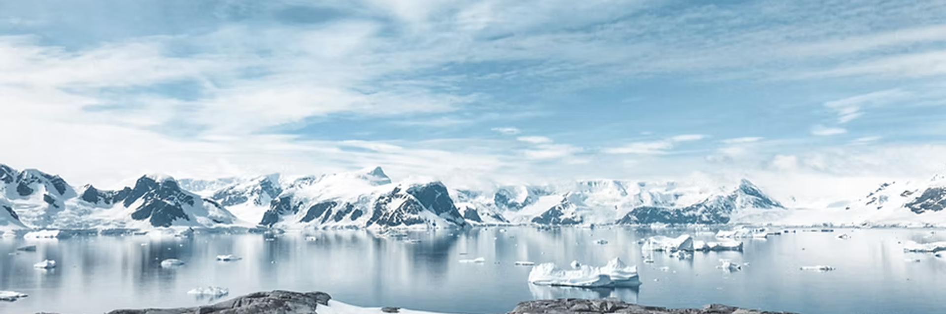 expedition cruise antarctica under 5000