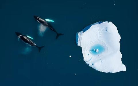 Antarctica Cruise Cost Breakdown (2027/2028): What You Really Pay