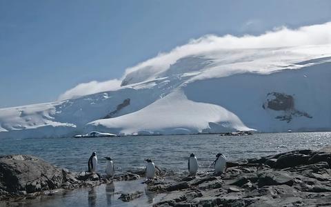 Antarctica Cruises: The Complete 2026 Buyer’s Guide