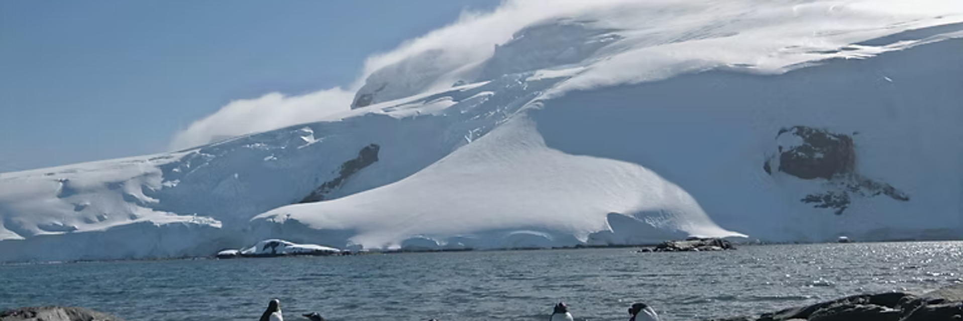 expedition cruise antarctica penguins