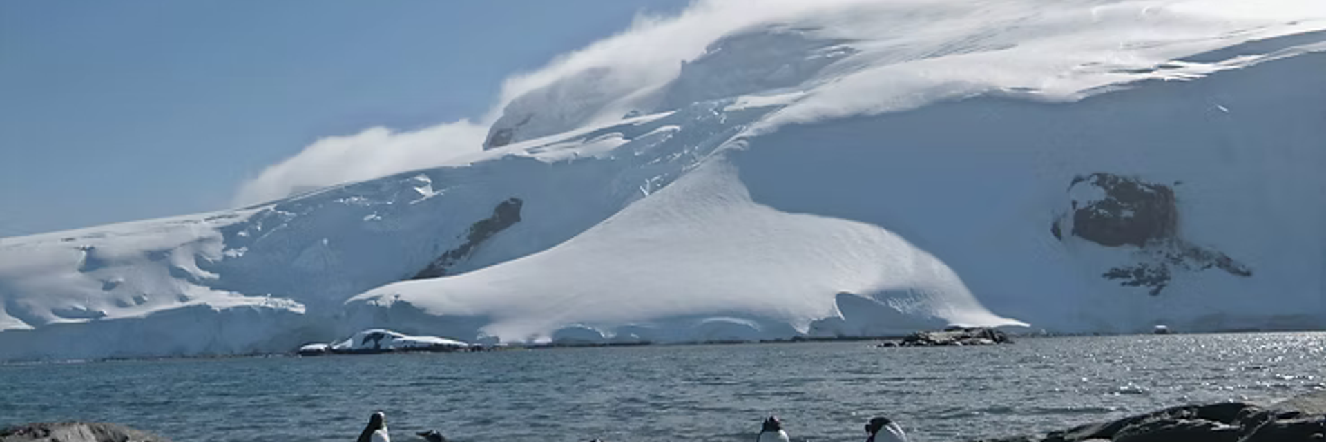 expedition cruise antarctica penguins