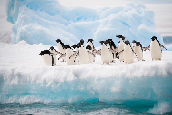 Antarctica Peninsula Adventure