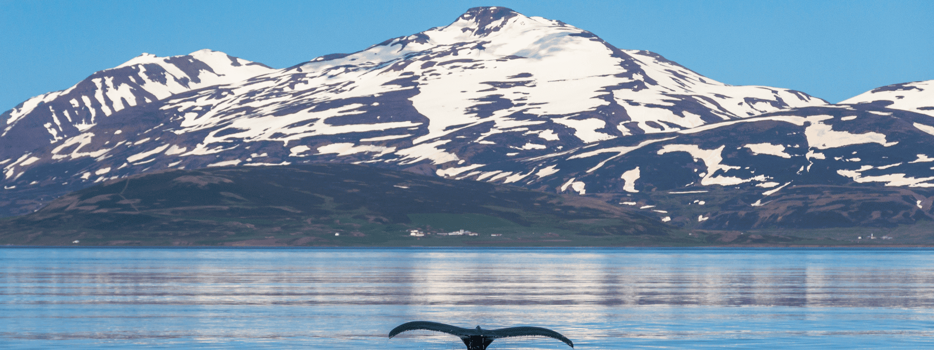 Scotland to Iceland Journey