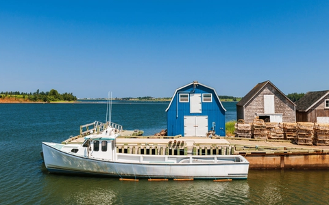East Coast Ships & Ciders