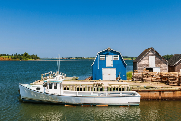 East Coast Ships & Ciders
