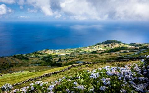 Azores Nature Explorer