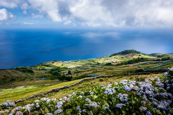 Azores Nature Explorer