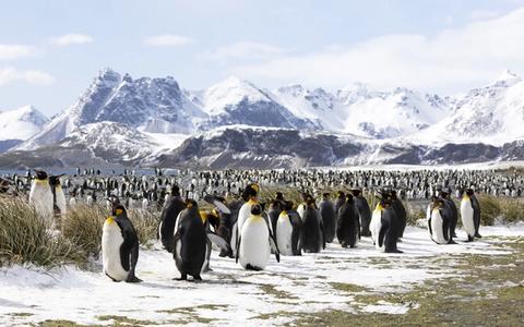 Antarctica Cruise from Canada: Getting to the White Continent