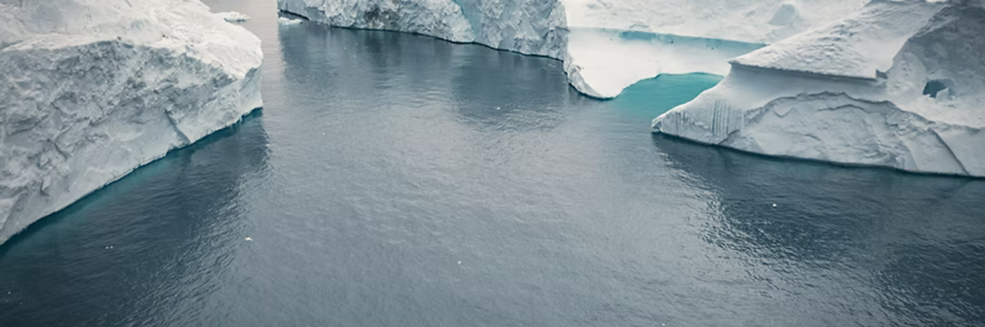 Expedition Experience Greenland