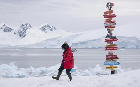 Last-Minute Antarctica Cruises: How to Find the Best Deals