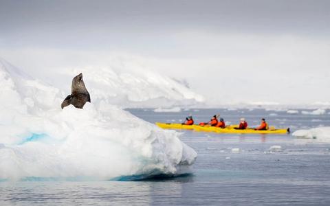 Antarctica Cruise 2-for-1 and Special Offers: How These Deals Actually Work