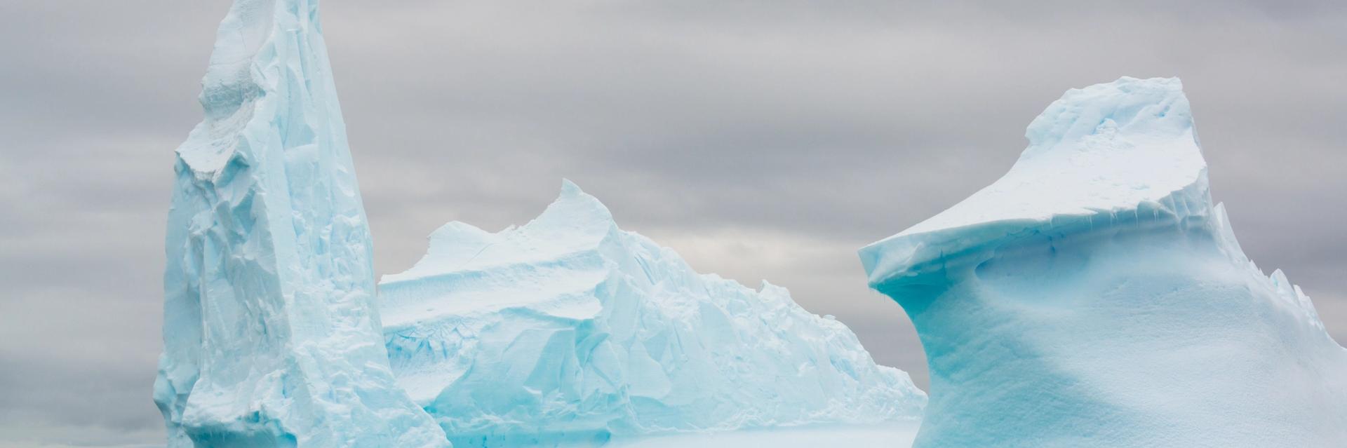 uk expedition cruise antarctica