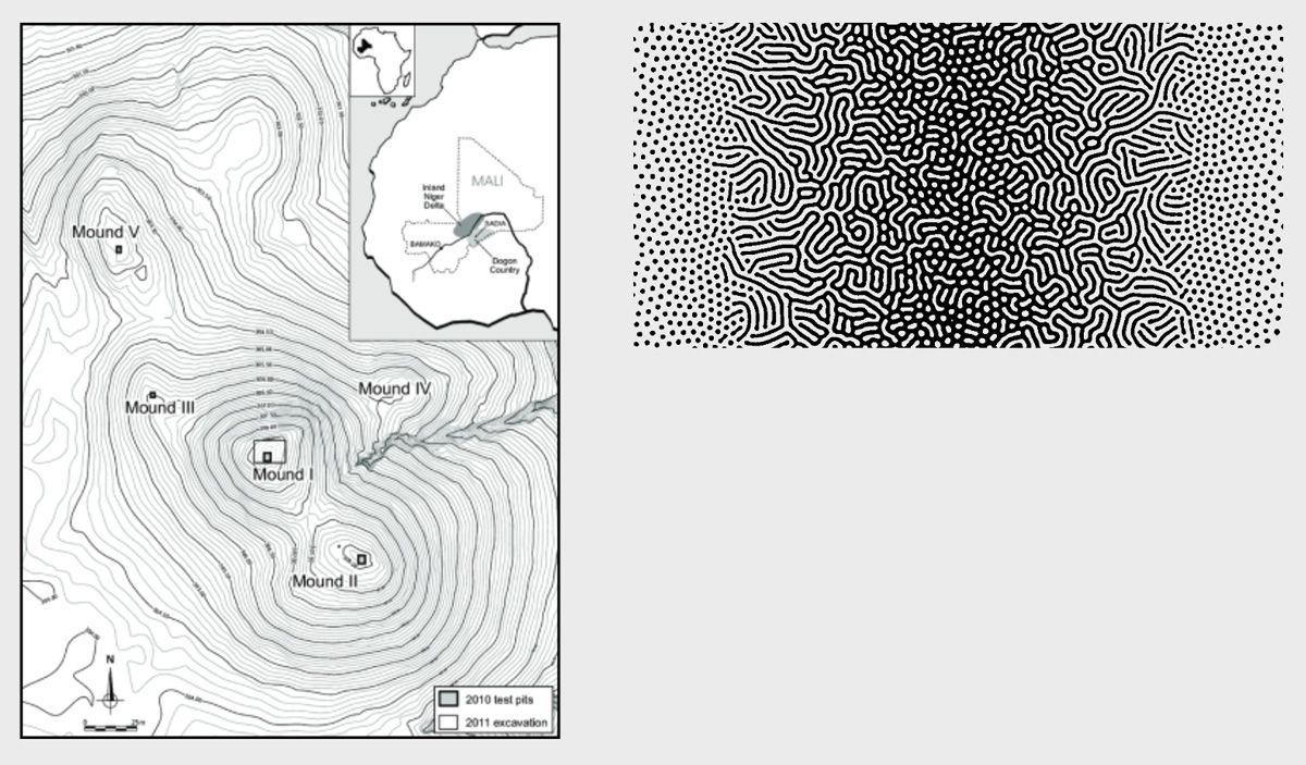 The main visual references: topographic maps and reaction-diffusion visualisations