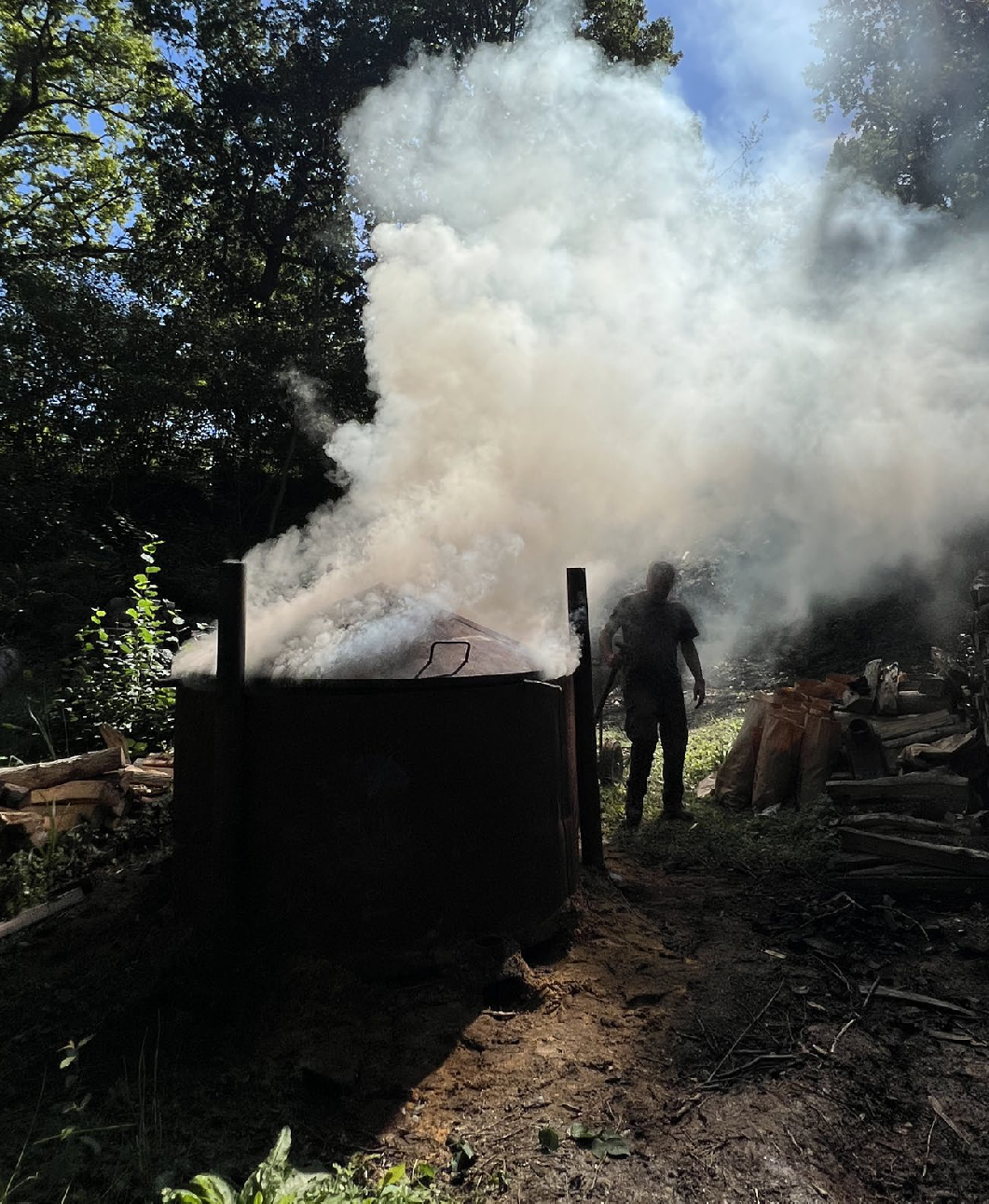 Smoke emitted from charcoal kiln in sunlit forest