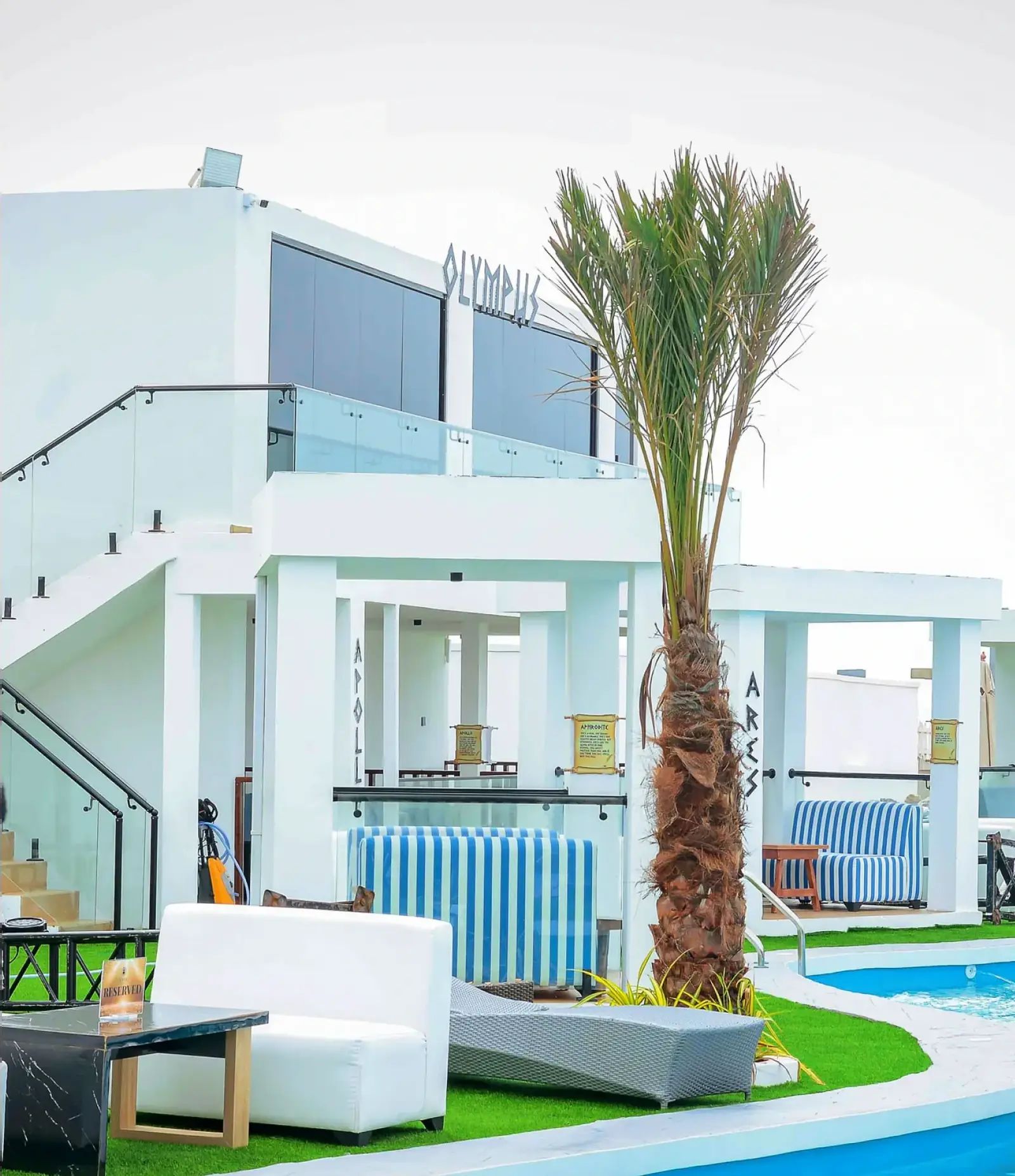 The Olympus building behind a palm, white cabanas along the pool