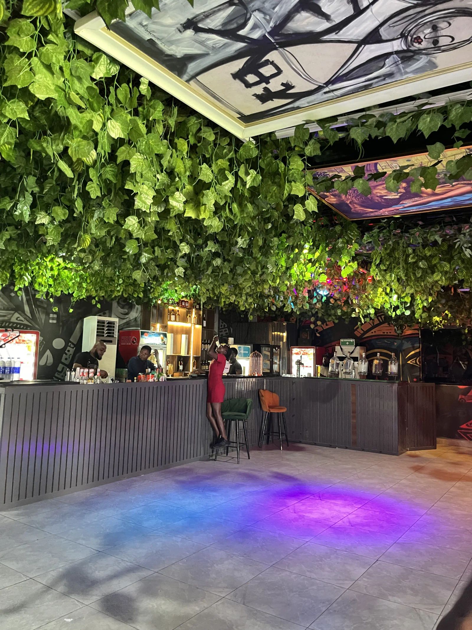 The bar under a ceiling of vines, coloured light on the floor