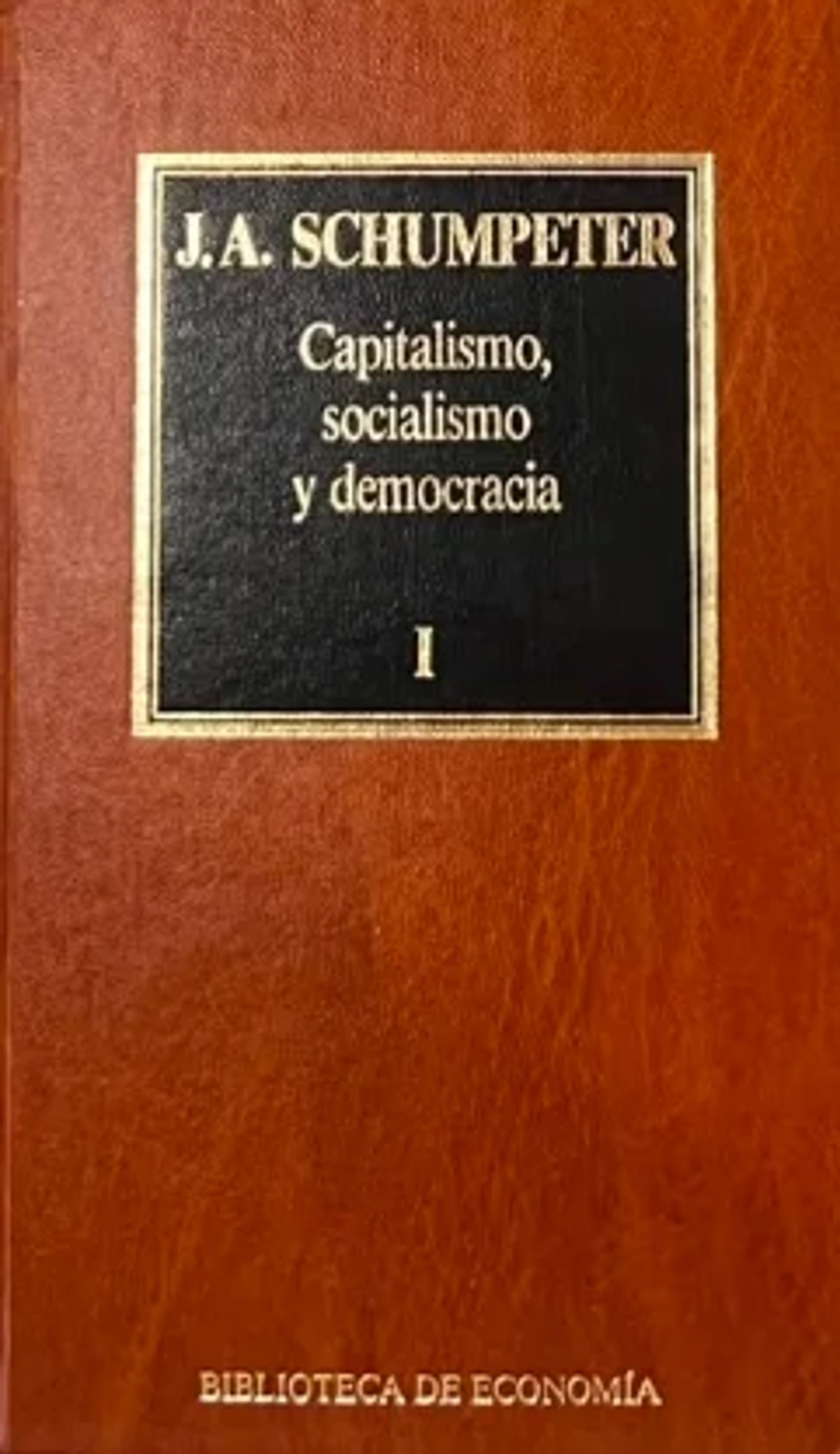 Capitalismo, Socialismo y Democracia I