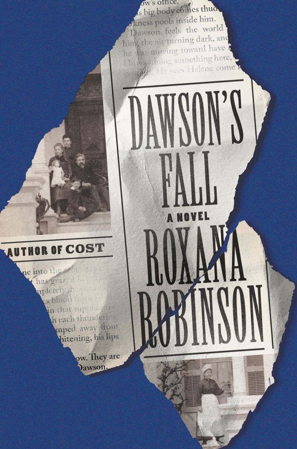 cover image of the book Dawson’s Fall