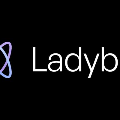 Ladybird: הדפדפן שרוצה לשנות את חוקי האינטרנט