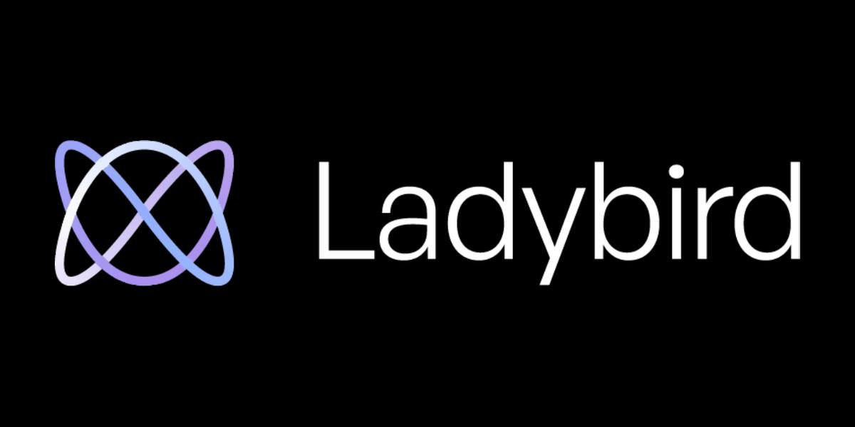 Ladybird: הדפדפן שרוצה לשנות את חוקי האינטרנט