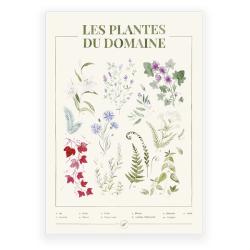 herbier plantes du domaine body nature