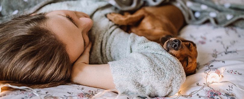 sommeil - un besoin pour l'homme et le nature