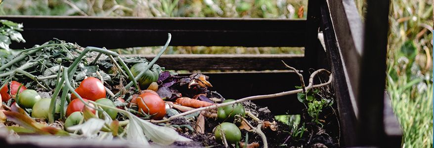 comment commencer et réussir son compost - nature