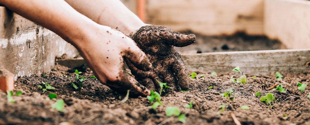 ecogeste du mois : en mars, le jardinage malin - nature