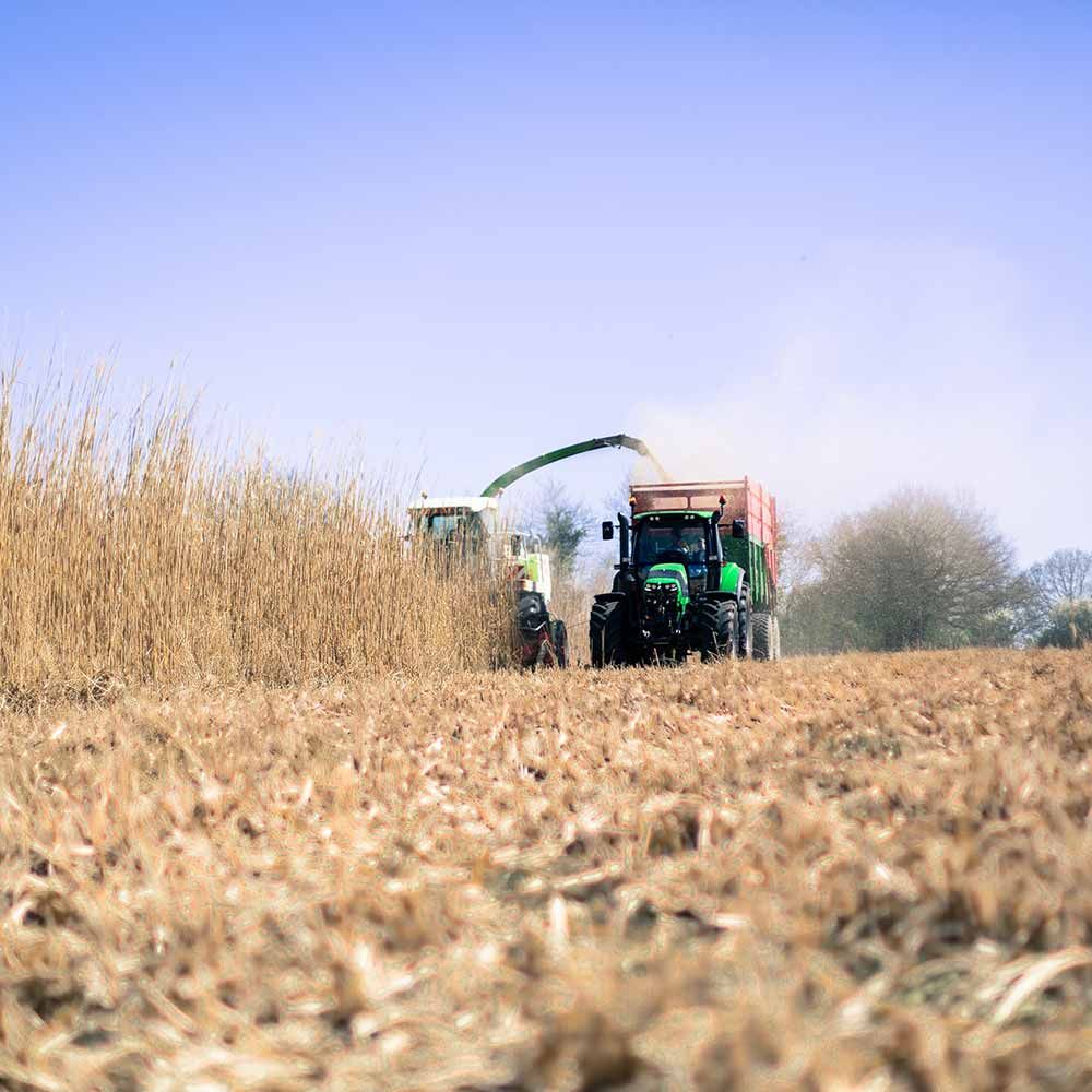 agriculture biologique - entreprise ecologique