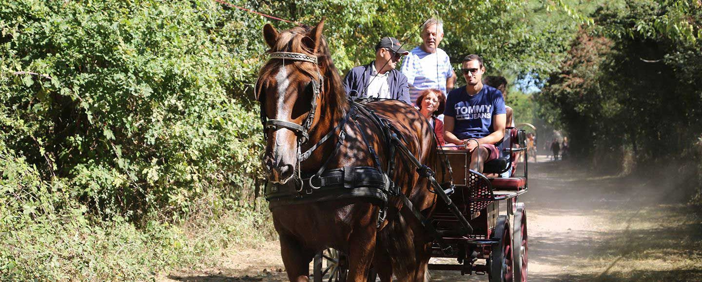 venir feter les 50 ans de Body Nature sur le domaine