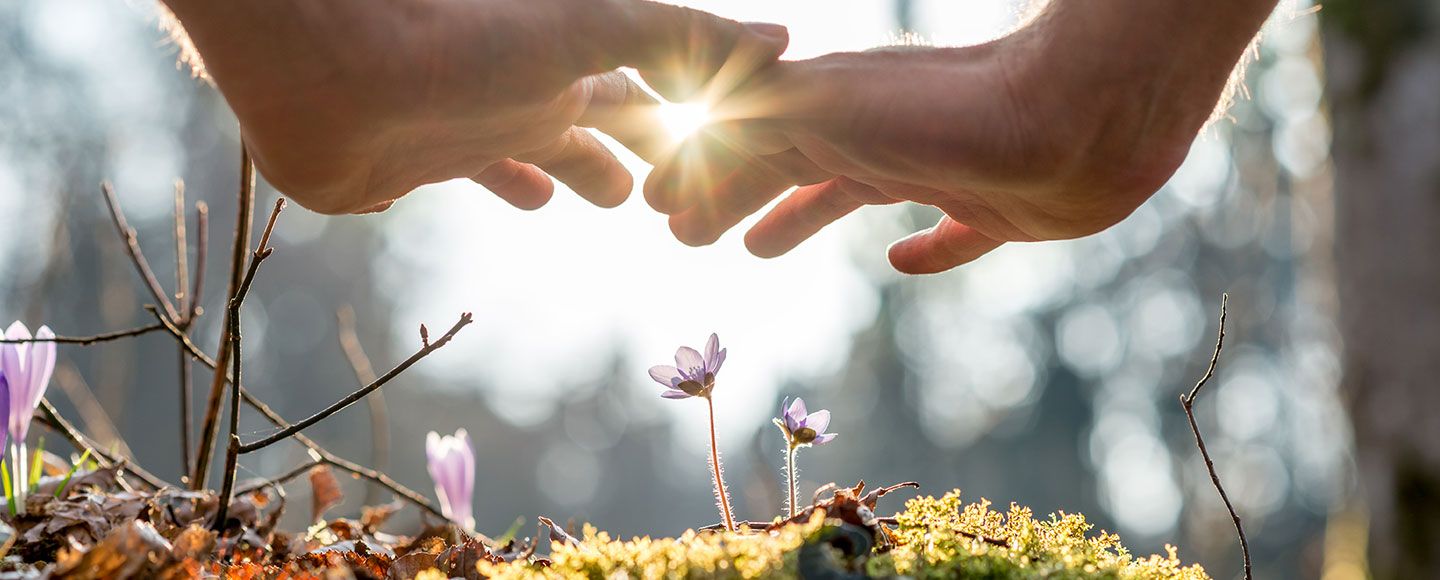 fondation science & nature, c’est l’heure de voter !