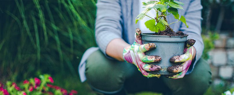 conseil jardinage malin et responsable