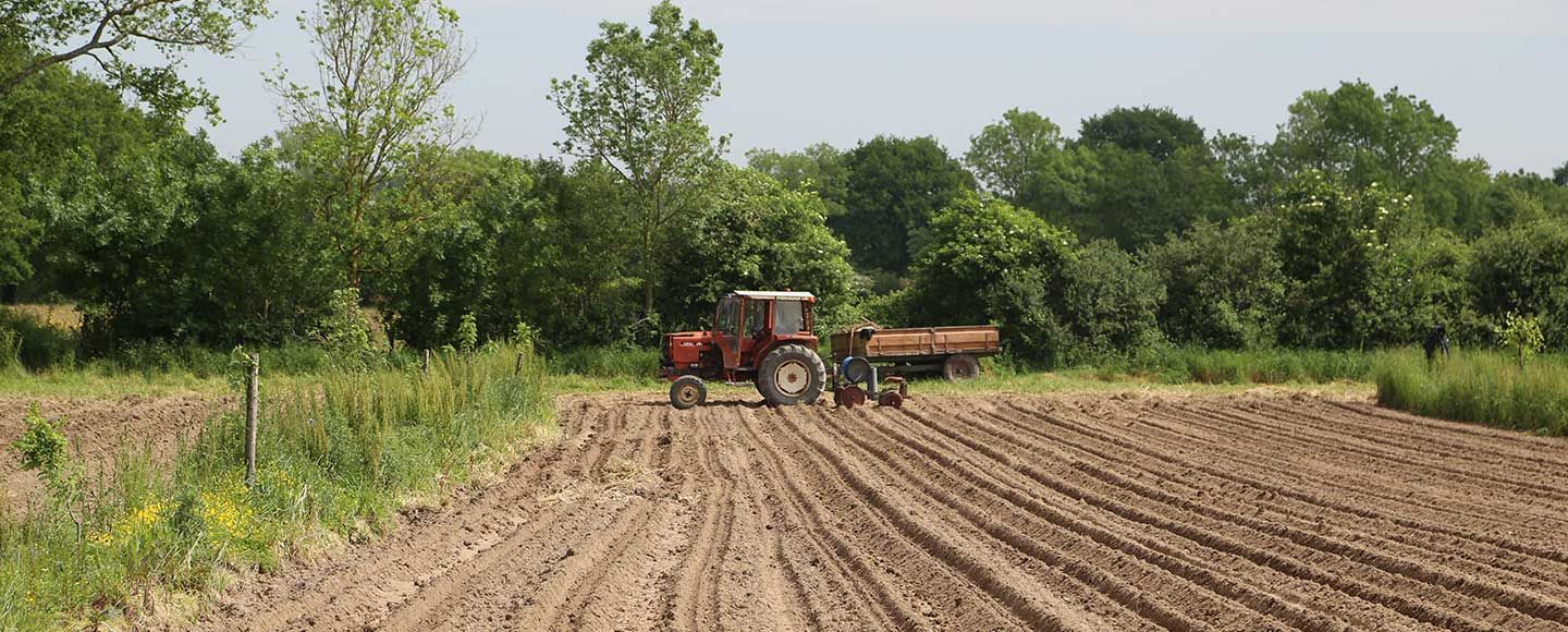 Au-delà du bio : thématique de l’année 2019